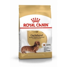 ROYAL CANIN Dachshund (Tacskó) Adult szárazeledel kutyáknak