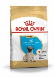 ROYAL CANIN Pug (Mopsz) Junior száraz kutyaeledel