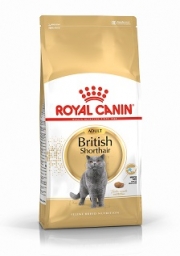 ROYAL CANIN British Shorthair Adult száraz macskaeledel