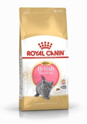 ROYAL CANIN British Shorthair Kitten macskaeledel