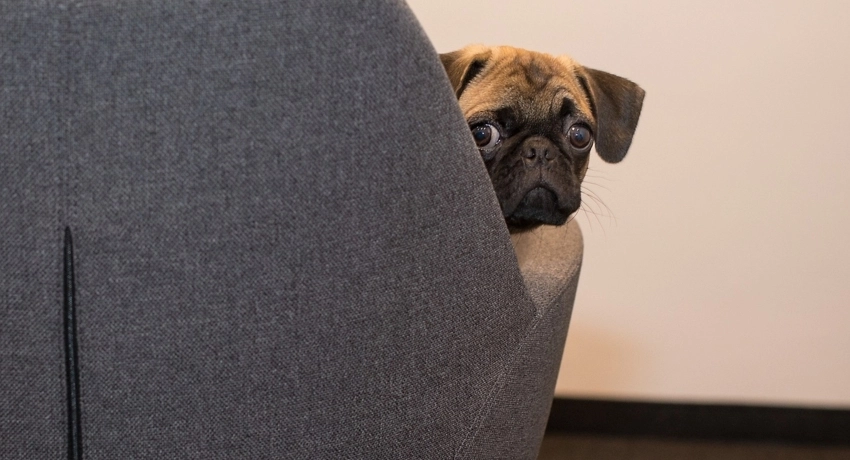 6 tanács vihar idejére