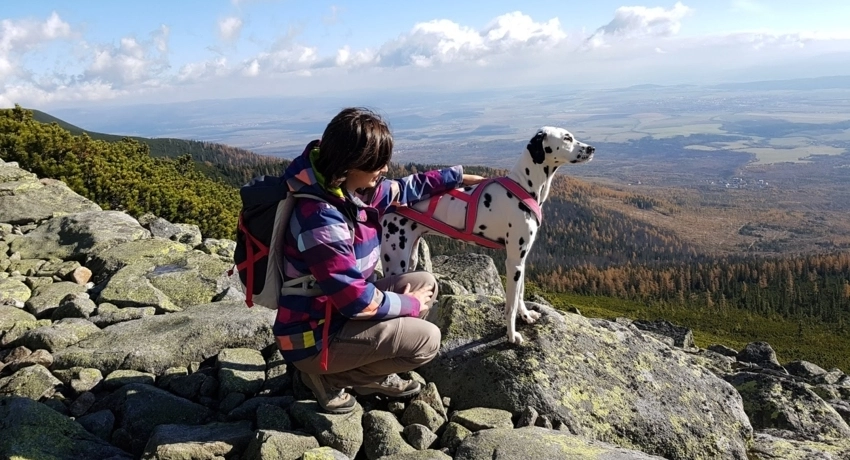 DOGHÁJKING