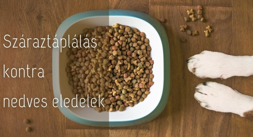 Száraztáplálás kontra nedves eledelek