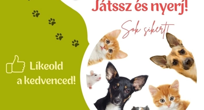 Likeolj és nyerj!