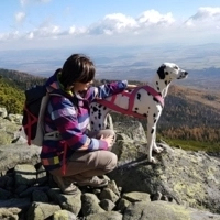DOGHÁJKING