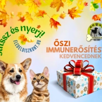 NYERJ ŐSZI IMMUNERŐSÍTÉST!