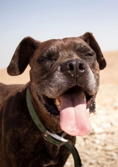 5 tipp hőguta megelőzésére