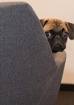 6 tanács vihar idejére