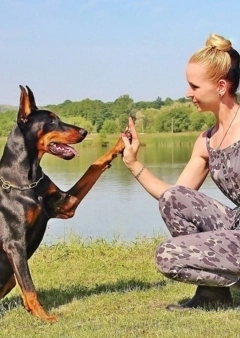 7 kérdés, amit ne tegyél fel a kutyasétáltatóknak