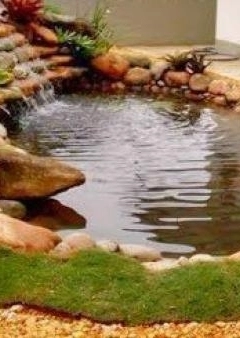 Kerti tó teleltetése