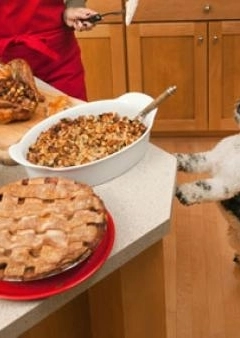 Ünnepek és kedvenceink