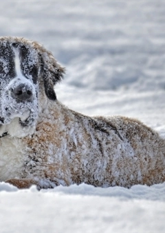 Húsz, húsz, mínusz