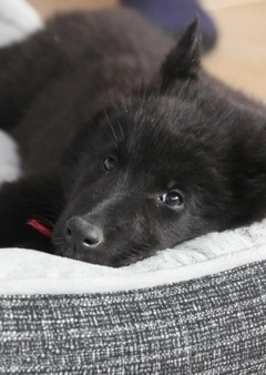 Tanácsok járvány idején