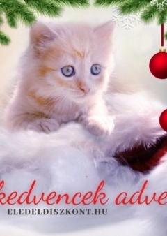 Kiskedvencek adventje