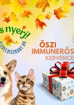 NYERJ ŐSZI IMMUNERŐSÍTÉST!