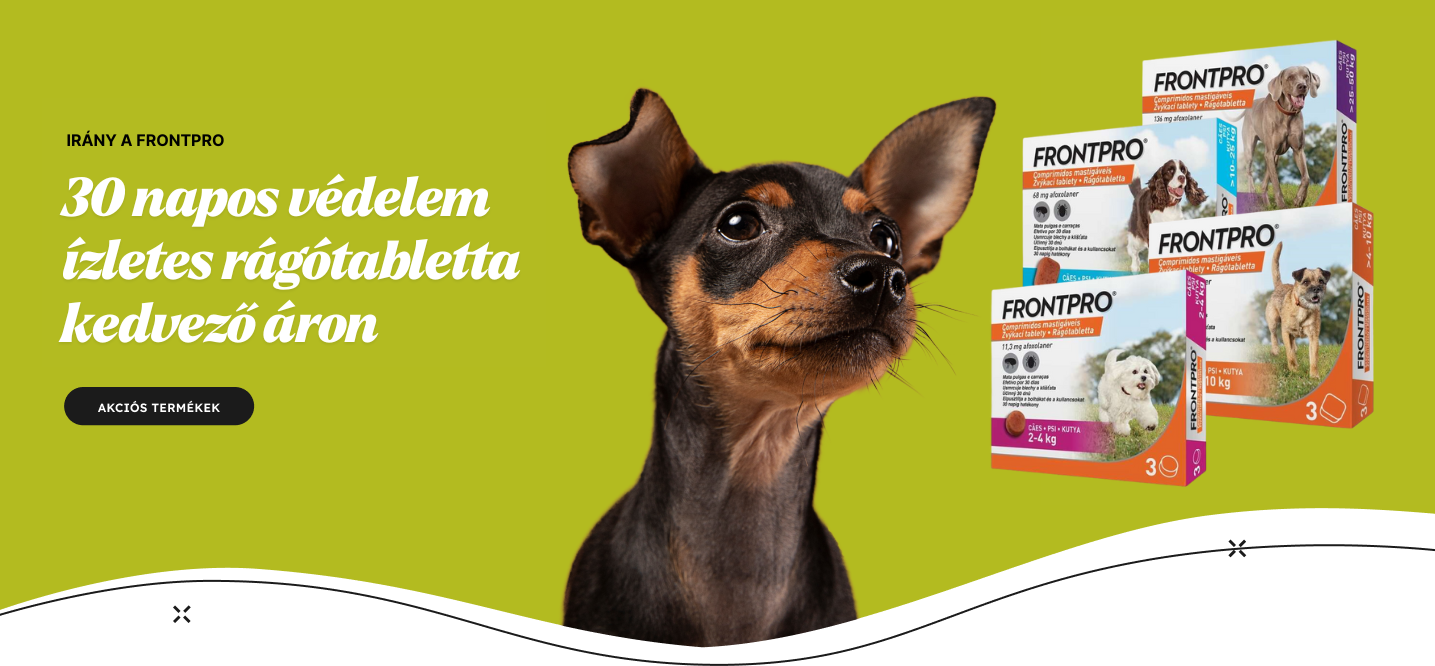 FrontPro akció