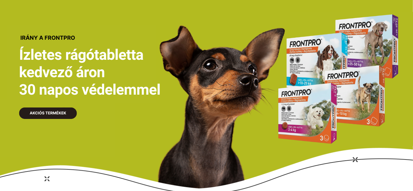 FrontPro akció