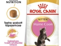 ROYAL CANIN Maine Coon Kitten száraz macskaeledel