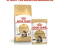 ROYAL CANIN Maine Coon Adult száraz macskaeledel