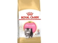 ROYAL CANIN Persian Kitten száraz macskaeledel
