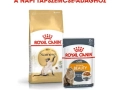 ROYAL CANIN Siamese Adult száraz macskaeledel