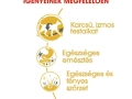 ROYAL CANIN Siamese Adult száraz macskaeledel