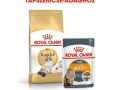 ROYAL CANIN Ragdoll Adult száraz macskaeledel
