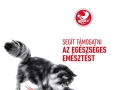 ROYAL CANIN Digestive Care száraz macskaeledel