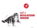 ROYAL CANIN Urinary Care száraz macskaeledel