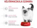 ROYAL CANIN Kitten száraz macskaeledel