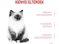 ROYAL CANIN Kitten száraz macskaeledel
