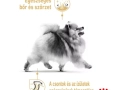 ROYAL CANIN Pomeranian Adult alutasakos nedveseled