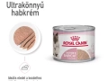 ROYAL CANIN Mother & Babycat Ultra soft mousse ned