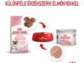 ROYAL CANIN Mother & Babycat Ultra soft mousse ned