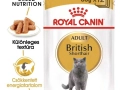 ROYAL CANIN British Shorthair nedves macskaeledel