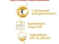 ROYAL CANIN British Shorthair nedves macskaeledel