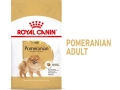 ROYAL CANIN Pomeranian Adult száraz kutyaeledel