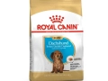 ROYAL CANIN Dachshund (tacskó) Puppy szárazeledel 