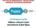 ROYAL CANIN Dachshund (tacskó) Puppy szárazeledel 
