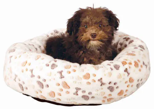 TRIXIE Lingo Bed kerek, peremes fekhely (fehér/bézs) kutyáknak