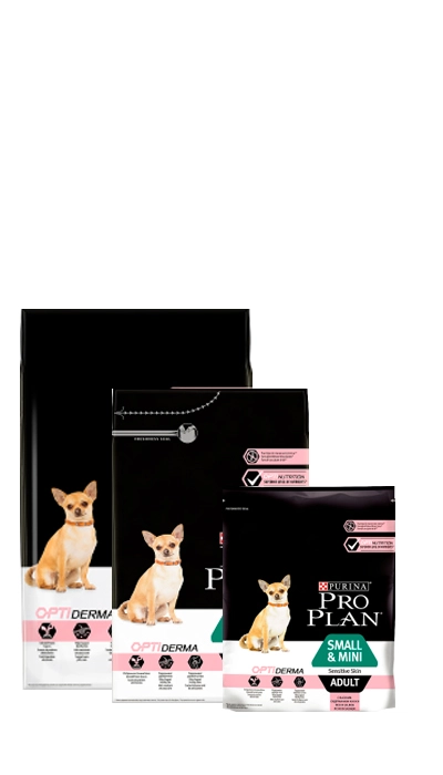 PRO PLAN Small and Mini Puppy OPTIDERMA száraz kutyaeledel lazaccal