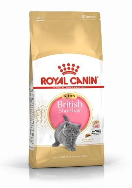 ROYAL CANIN British Shorthair Kitten macskaeledel